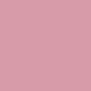 RAL 010 70 25