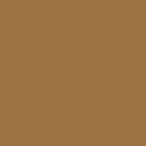 RAL 070 50 40