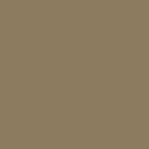 RAL 080 50 20