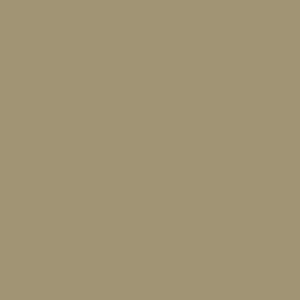 RAL 085 60 20