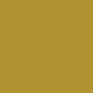 RAL 085 60 60