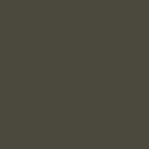 RAL 090 20 10