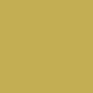 RAL 090 70 50