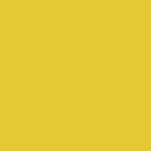 RAL 090 80 70