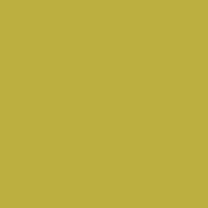 RAL 095 70 60