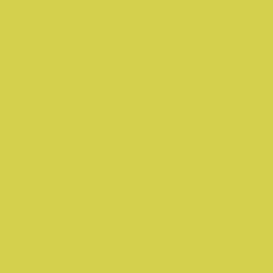 RAL 100 80 60