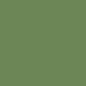 RAL 130 50 30