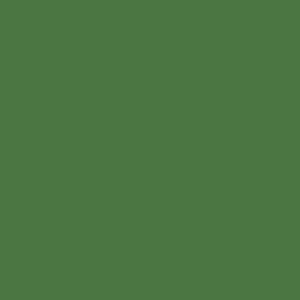 RAL 140 40 40
