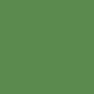 RAL 140 50 40