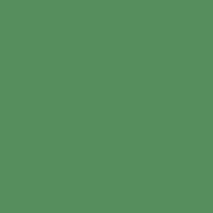 RAL 150 50 40