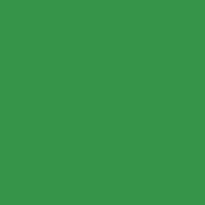RAL 150 50 60
