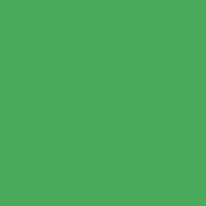RAL 150 60 60