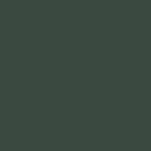 RAL 160 20 20