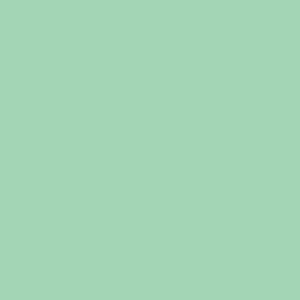 RAL 160 80 25