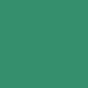 RAL 170 50 45