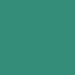 RAL 180 50 40