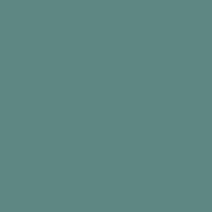 RAL 190 50 20