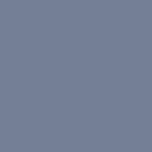 RAL 270 50 15