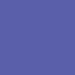 RAL 290 40 45