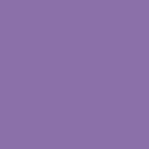 RAL 310 50 35