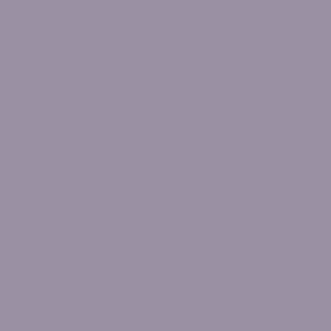 RAL 310 60 10
