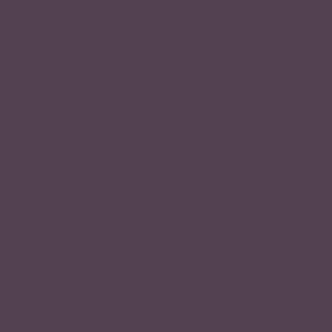 RAL 330 20 20
