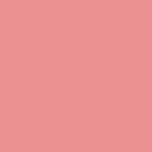 S&nbsp;0550-R