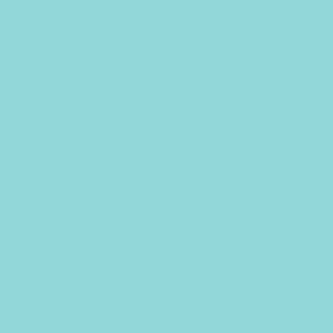B 096