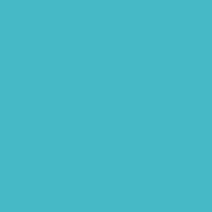 C 098