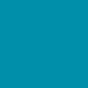 E 100