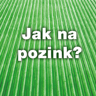 Ledová krusta na&nbsp;autoskle? Vyřešeno.